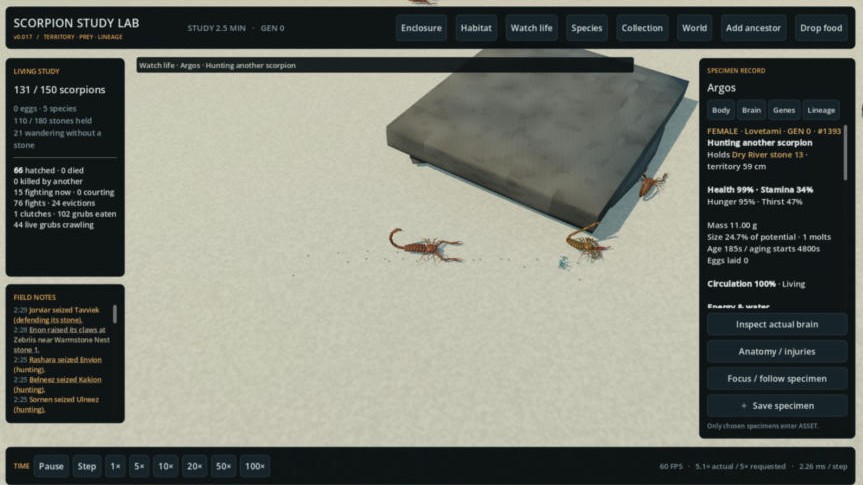 Scorpion Study Lab: the Watch life camera follows a scorpion hunting beside her stone